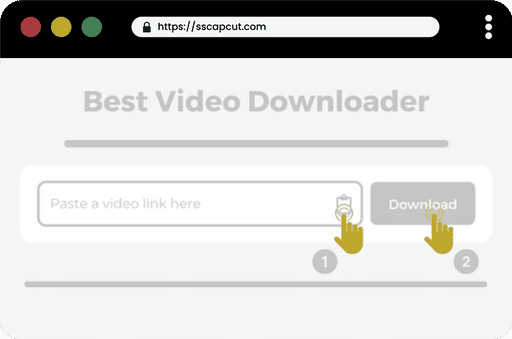 CapCut Video Download: Paste the Link in SSCapCut